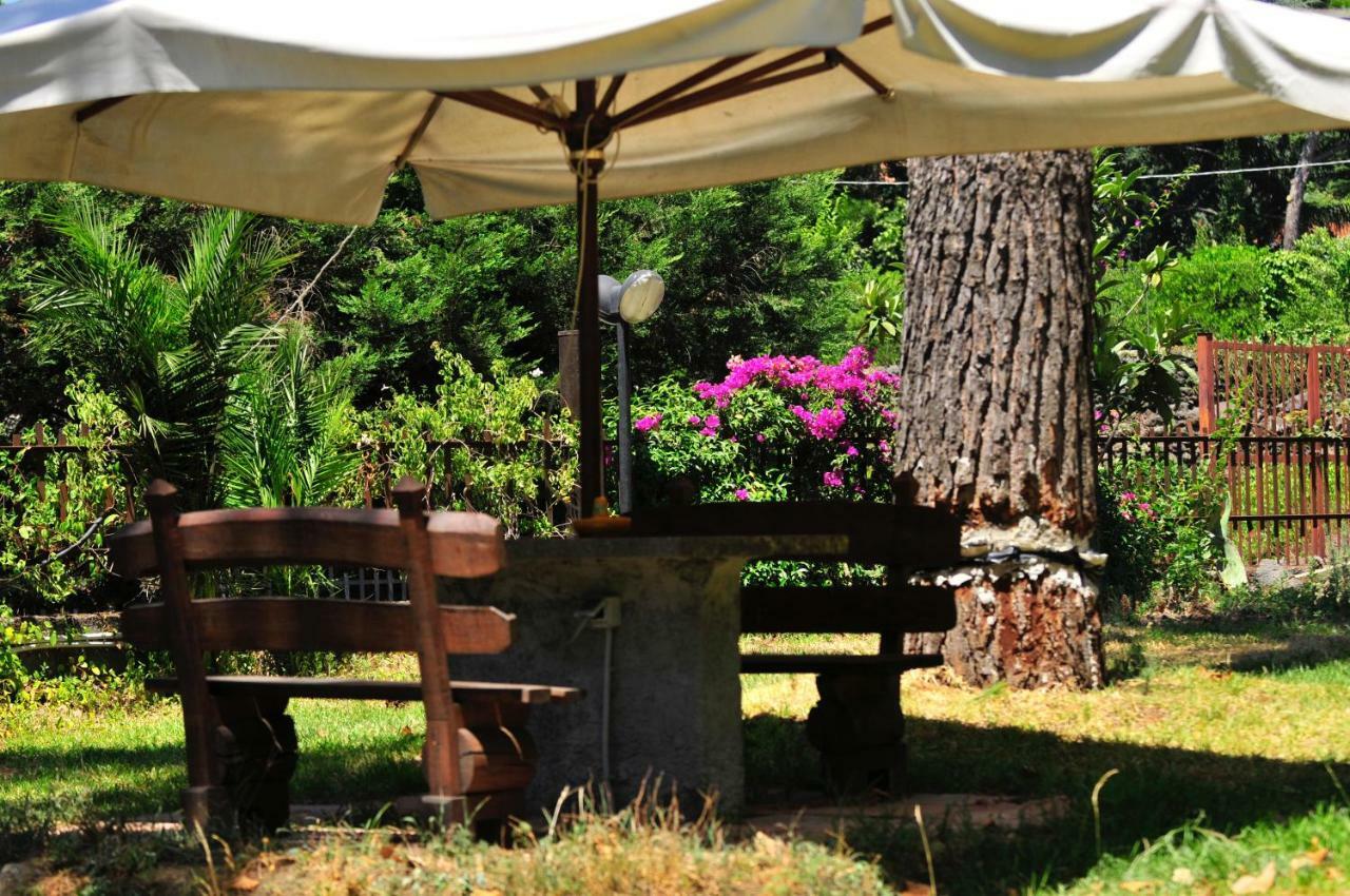 B&B Casa Di Antonio_Etna Vacanze Trecastagni Exterior photo